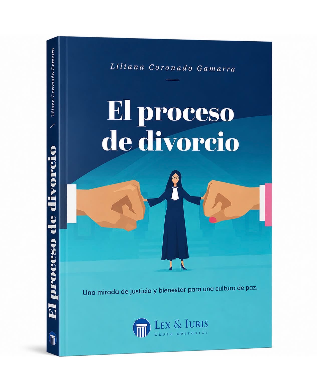 EL PROCESO DE DIVORCIO