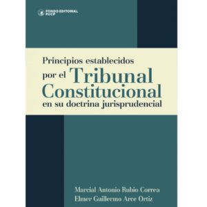 PRINCIPIOS ESTABLECIDOS POR EL TRIBUNAL CONSTITUCIONAL EN SU DOCTRINA JURISPRUDENCIAL