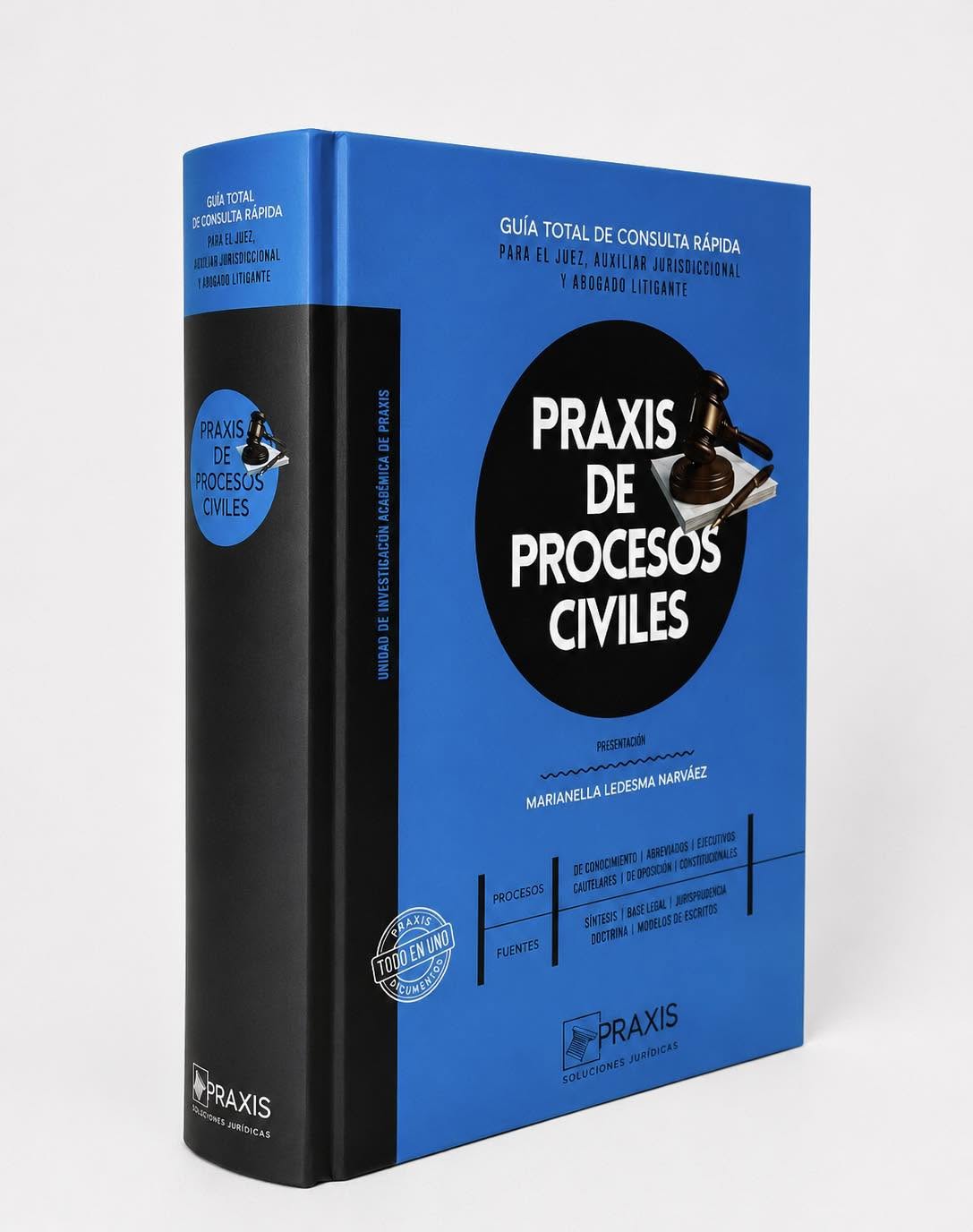 PRAXIS DE PROCESOS CIVILES. Guía total de consulta rápida para el juez, auxiliar jurisdiccional y abogado litigante
