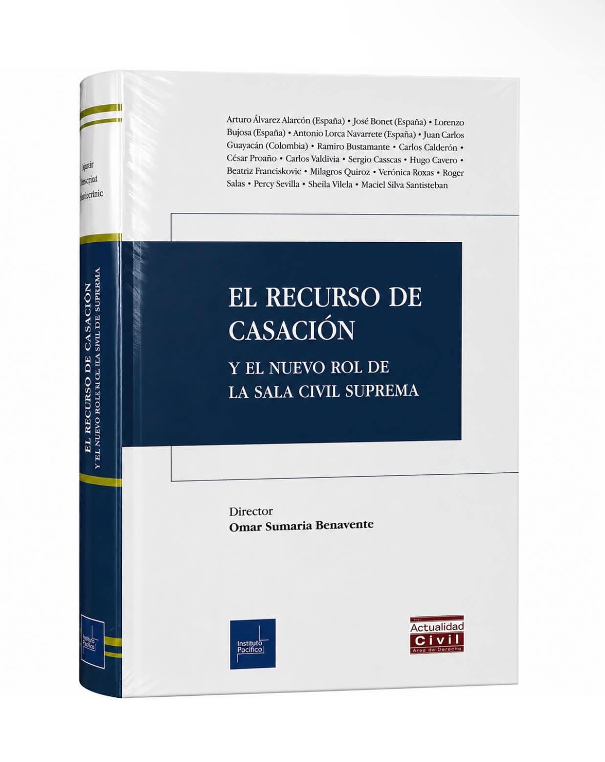 EL RECURSO DE CASACIÓN Y EL NUEVO ROL DE LA SALA CIVIL SUPREMA