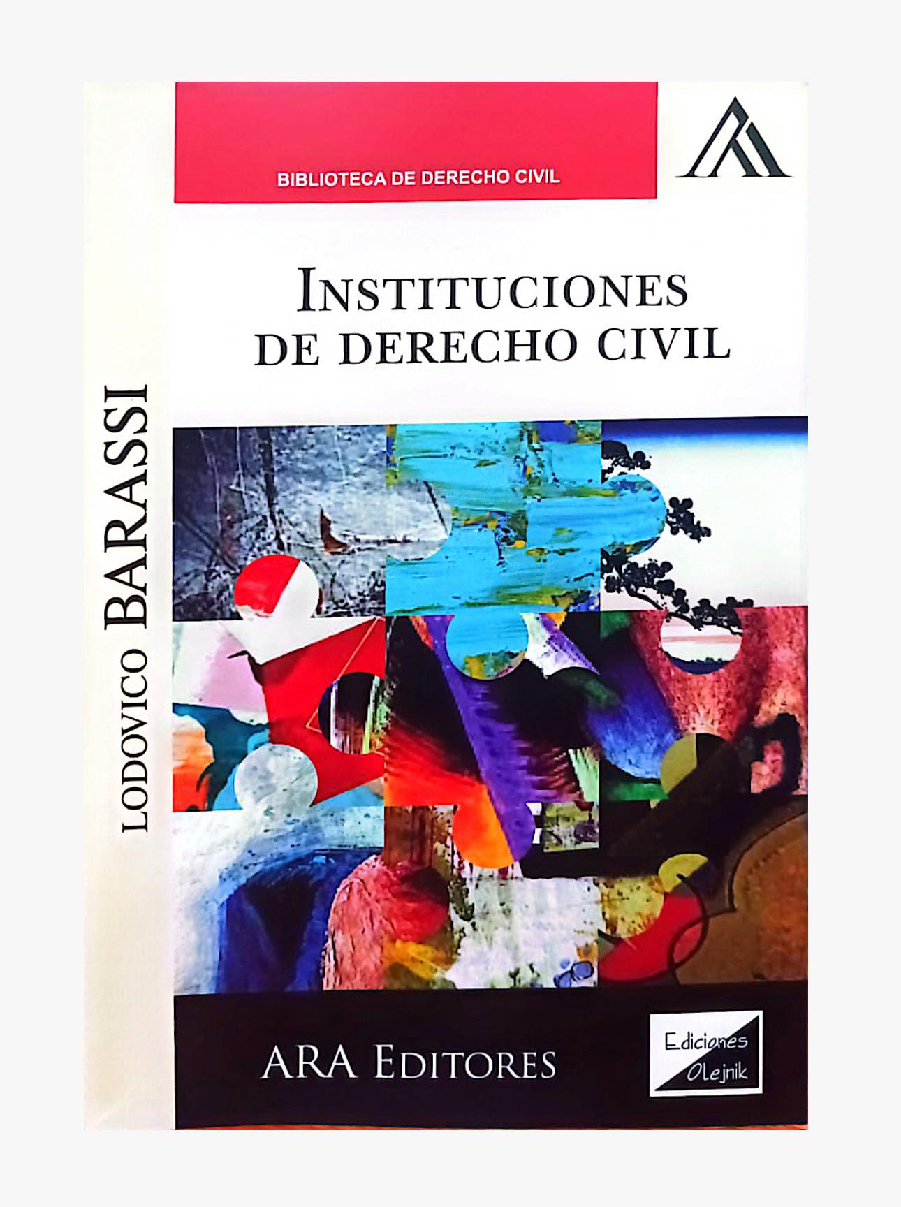 INSTITUCIONES DE DERECHO CIVIL