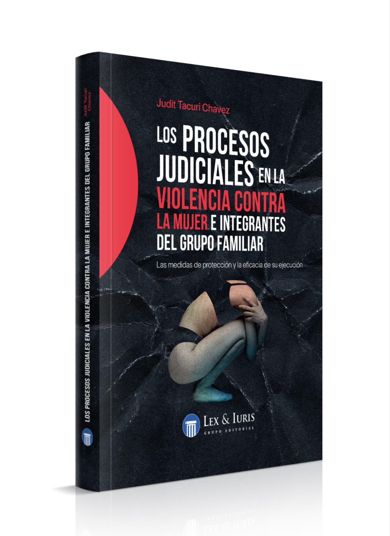 LOS PROCESOS JUDICIALES EN LA VIOLENCIA CONTRA LA MUJER E INTEGRANTES DEL GRUPO FAMILIAR