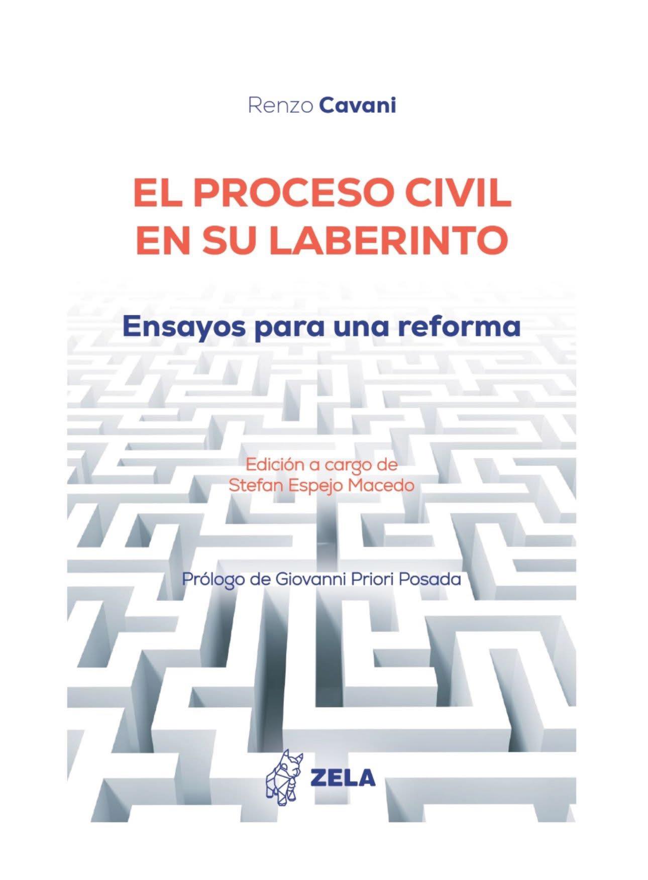 EL PROCESO CIVIL EN SU LABERINTO. Ensayos para una reforma