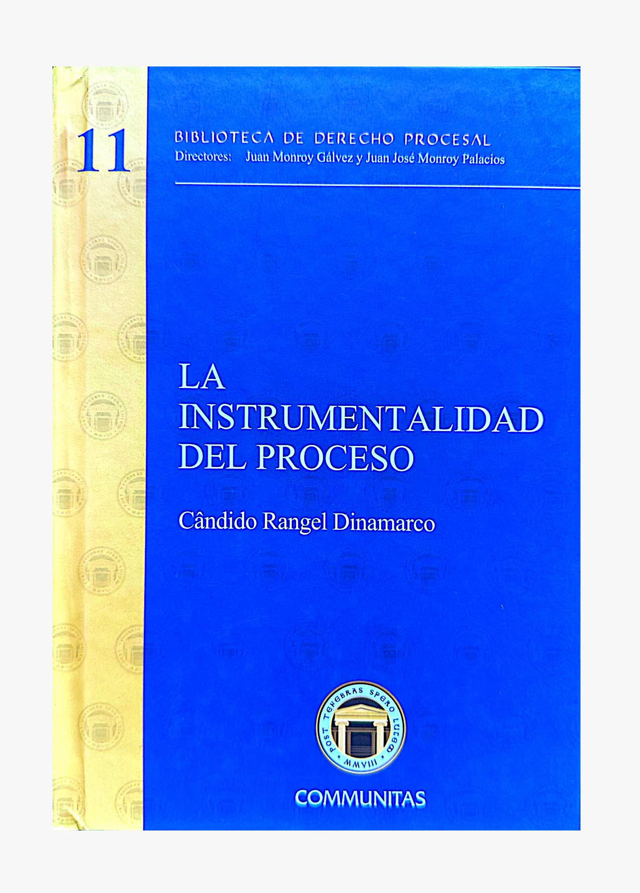 LA INSTRUMENTALIDAD DEL PROCESO (Vol.11)