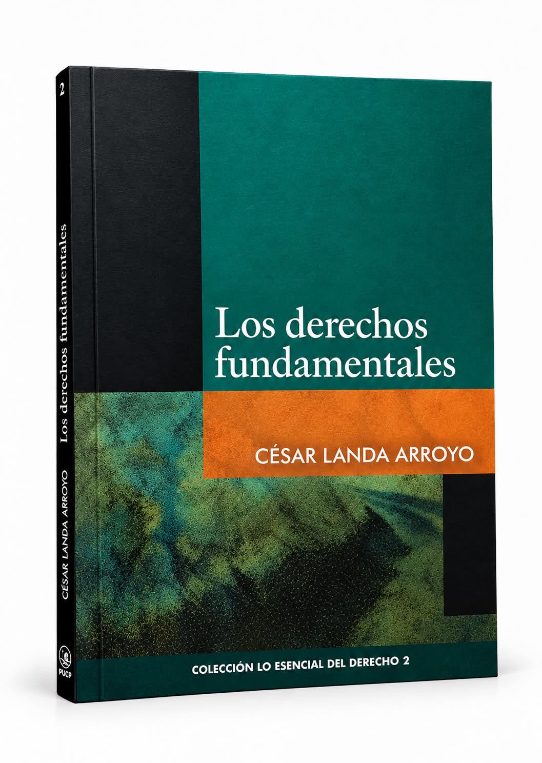 LOS DERECHOS FUNDAMENTALES. VOL. 2