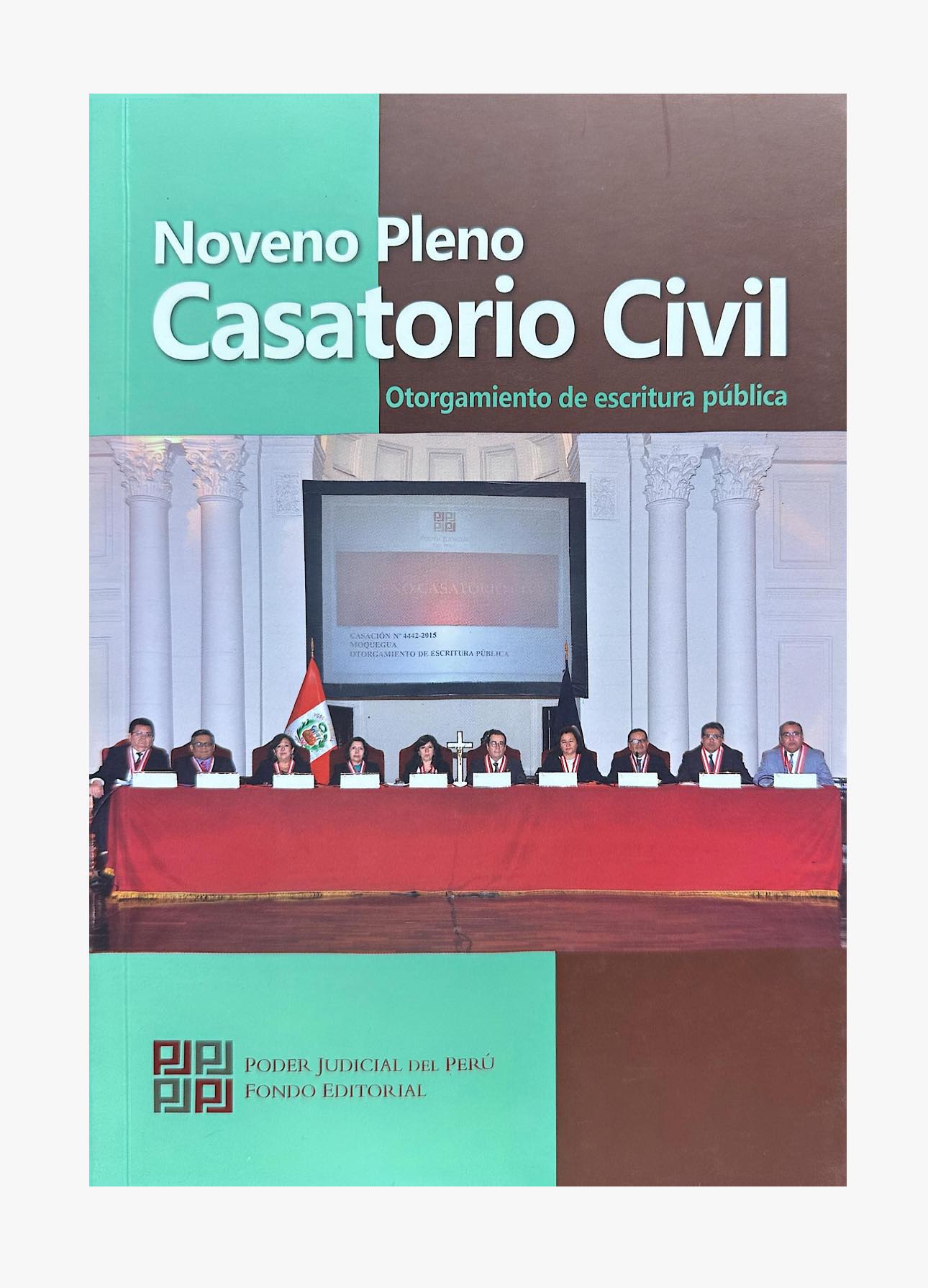 NOVENO PLENO CASATORIO CIVIL