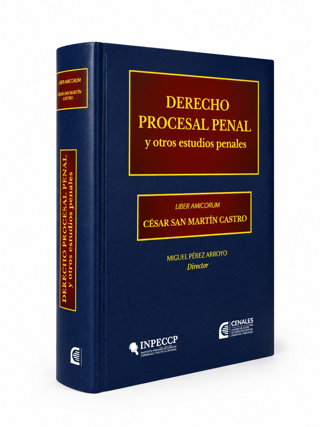 DERECHO PROCESAL PENAL Y OTROS ESTUDIOS. Libro homenaje al Dr. César San Martín Castro