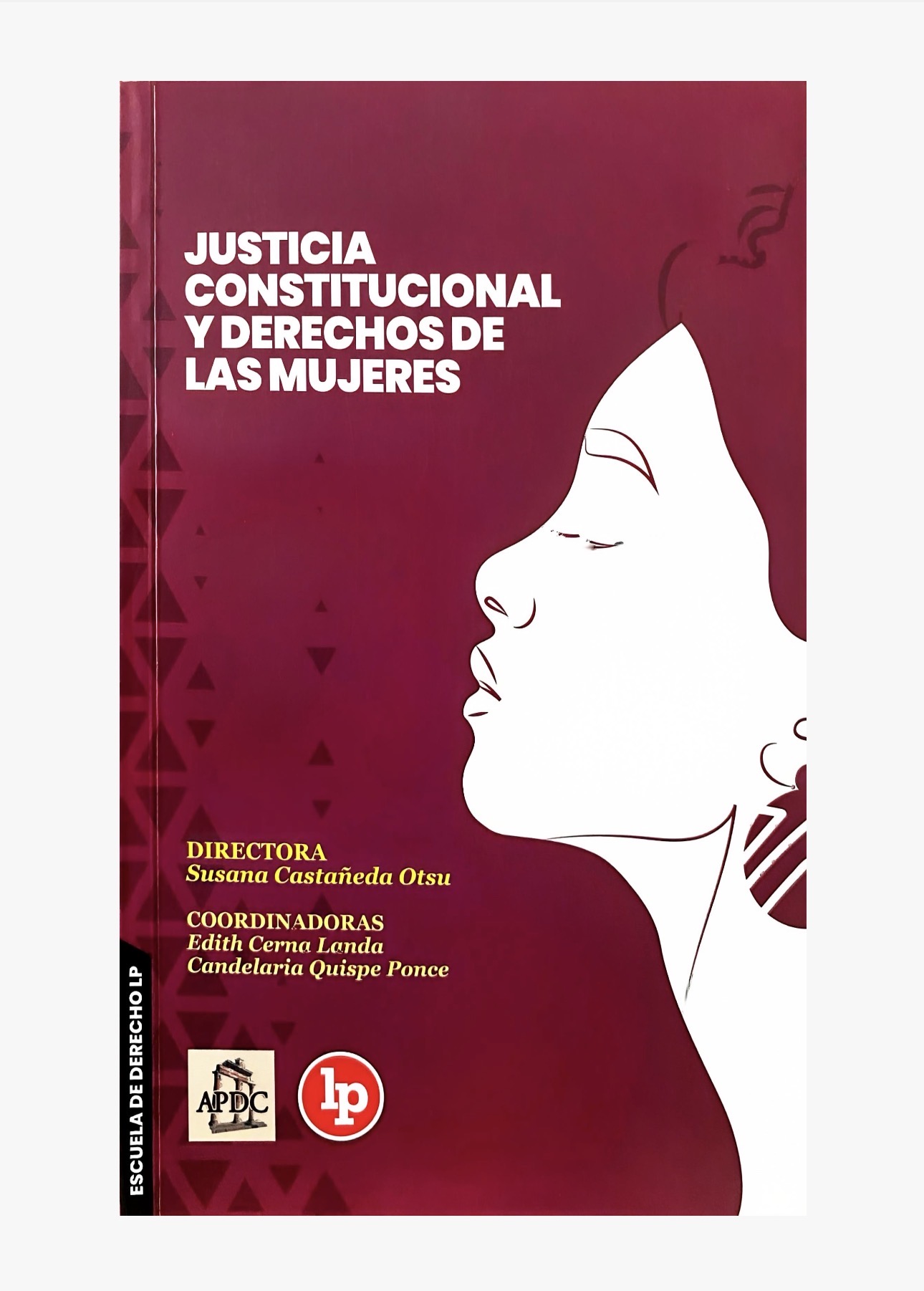 JUSTICIA CONSTITUCIONAL Y DERECHOS DE LAS MUJERES