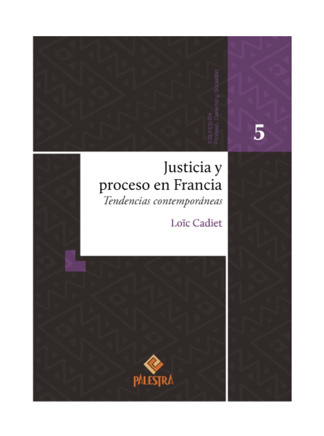 JUSTICIA Y PROCESO EN FRANCIA. Tendencias contemporáneas