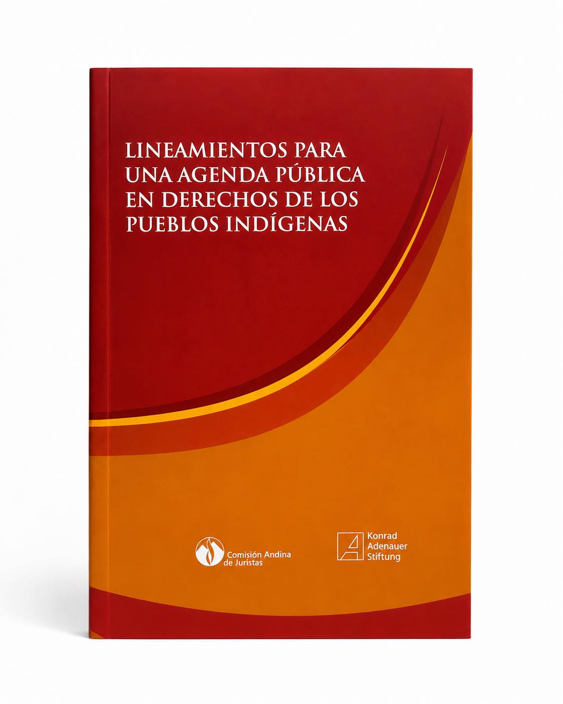 LINEAMIENTOS PARA UNA AGENDA PÚBLICA EN DERECHOS DE LOS PUEBLOS INDÍGENAS