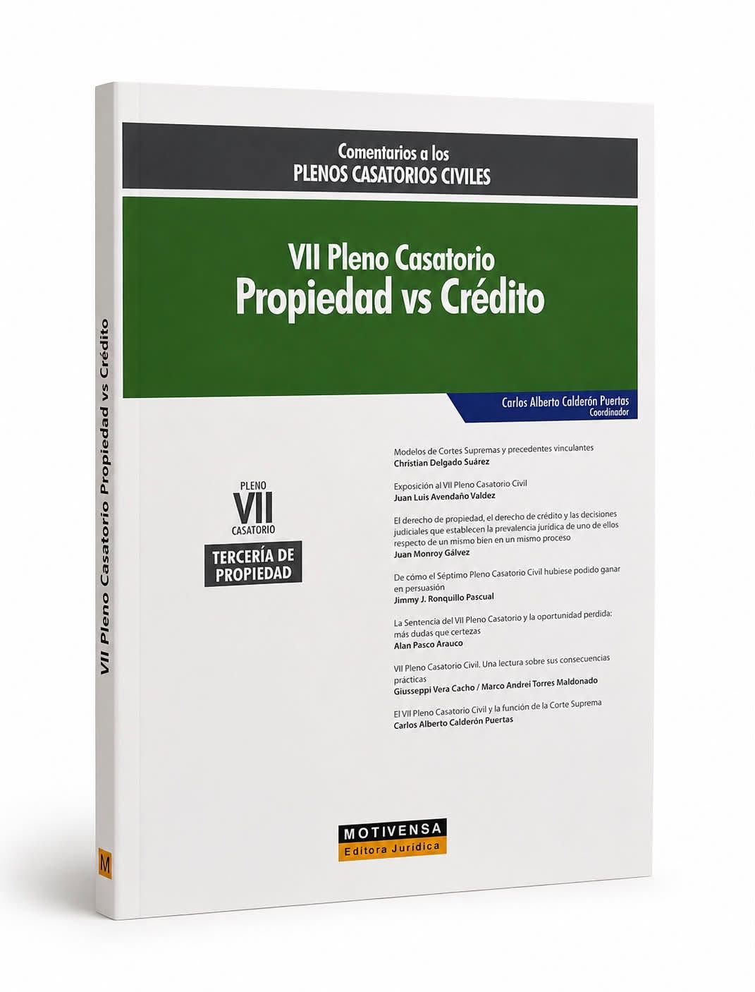 VII PLENO CASATORIO. PROPIEDAD VS. CRÉDITO