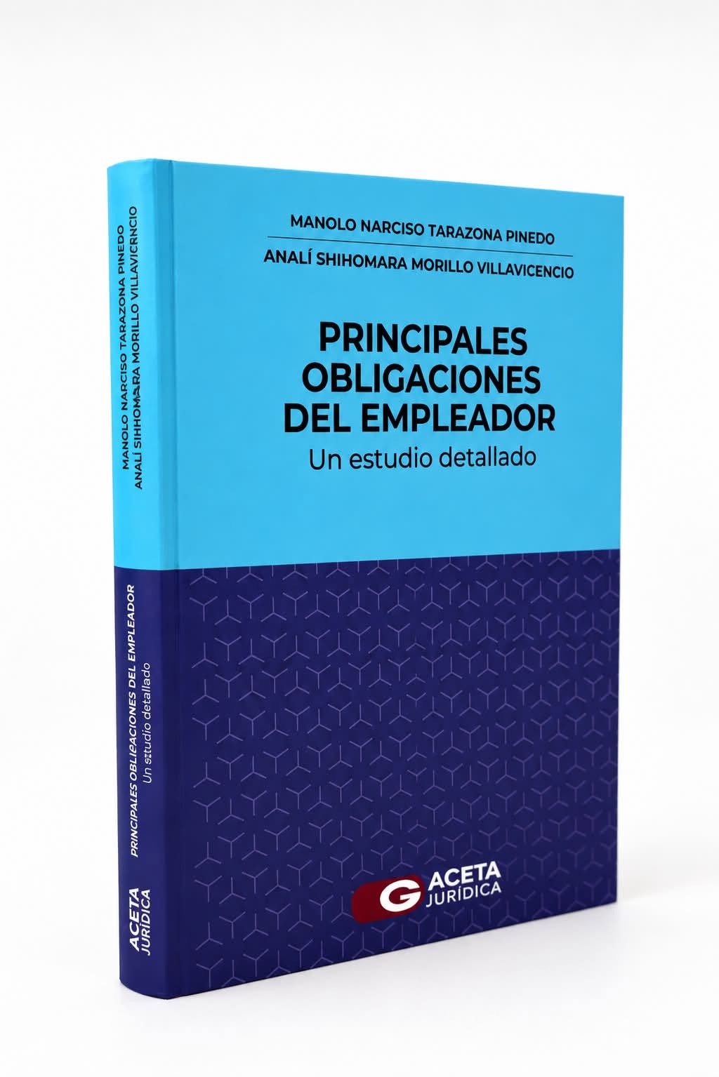 PRINCIPALES OBLIGACIONES DEL EMPLEADOR. Un estudio detallado