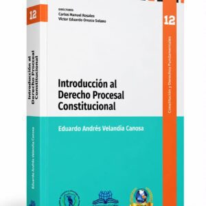 INTRODUCCIÓN AL DERECHO PROCESAL CONSTITUCIONAL