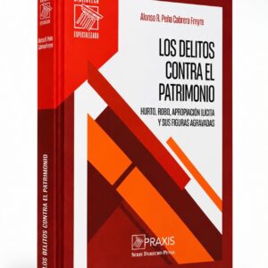LOS DELITOS CONTRA EL PATRIMONIO. Hurto, robo, apropiación ilícita y sus figuras agravadas